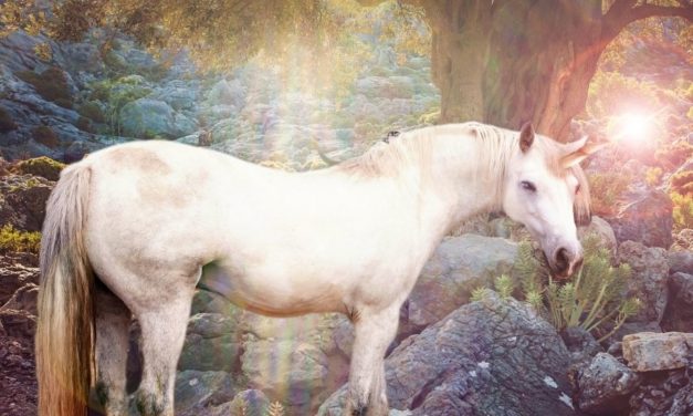 Unicorn Jewellery –  Joyful Accessories For Pandemic Life