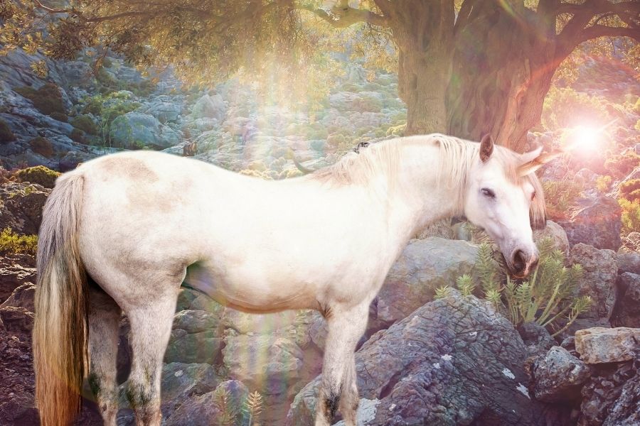 Unicorn Jewellery –  Joyful Accessories For Pandemic Life