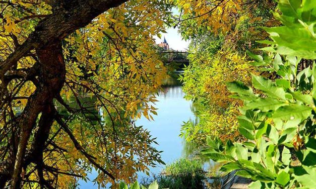 Calm Ways to Prepare for Mental Health in Autumn and Winter