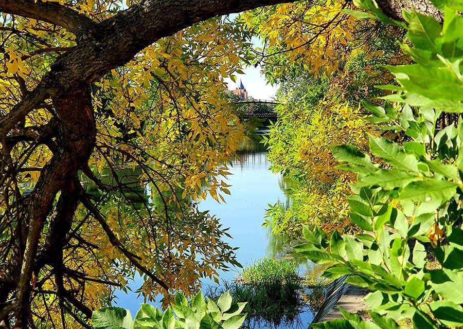 Calm Ways to Prepare for Mental Health in Autumn and Winter