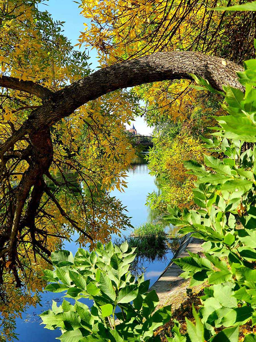 Autumn walks for mental health