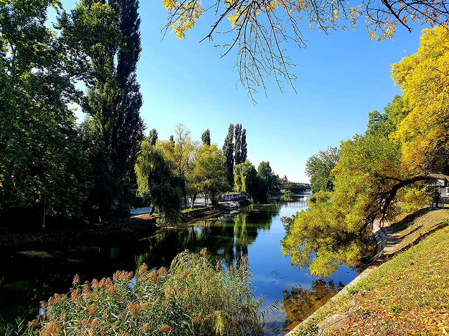 Autumn walks for mental health