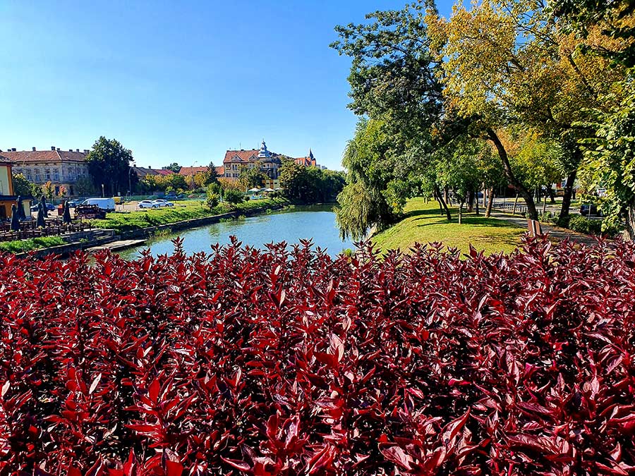 Autumn walks for mental health
