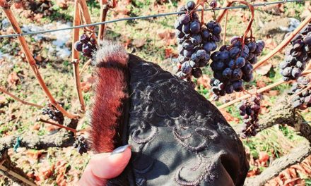 Fur Coat – How To Make A Fur Coat