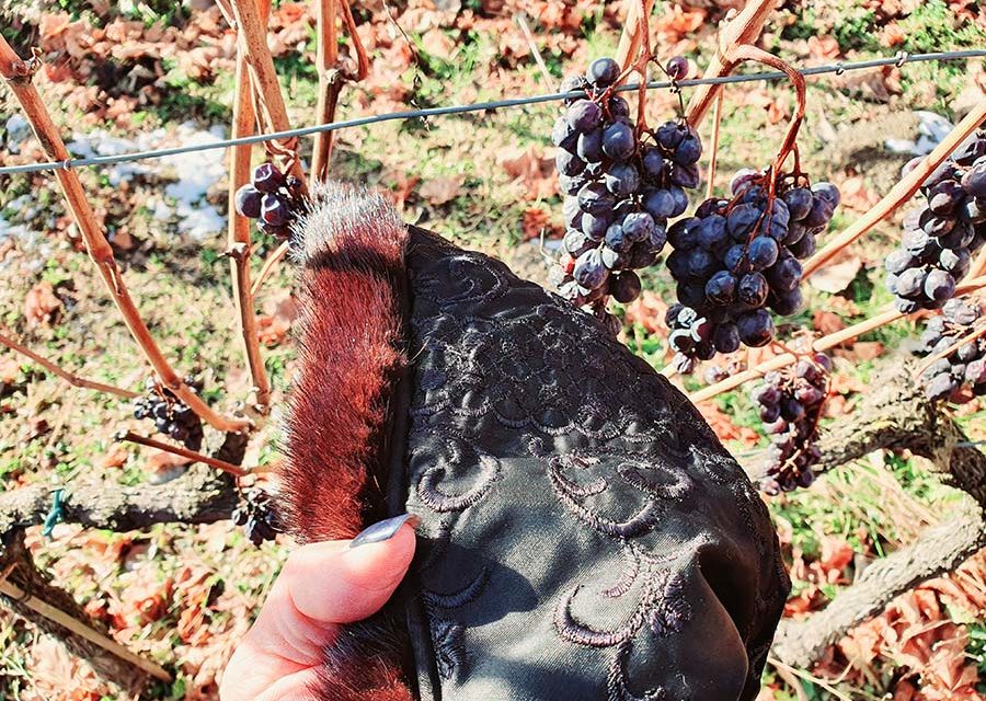 Fur Coat – How To Make A Fur Coat