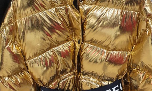 What to Look for In A Vintage 2022 Ski Jacket 