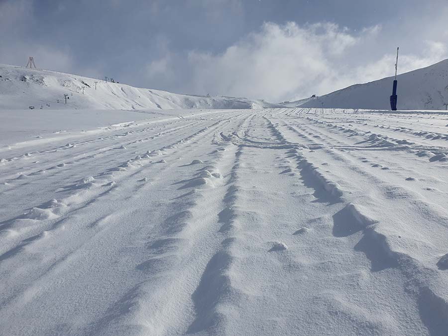 Gracie Opulanza Gran Roig