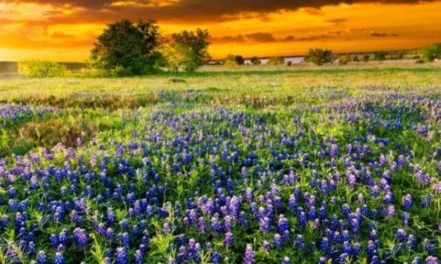 Gulf Coast Rehab – What to Look For?