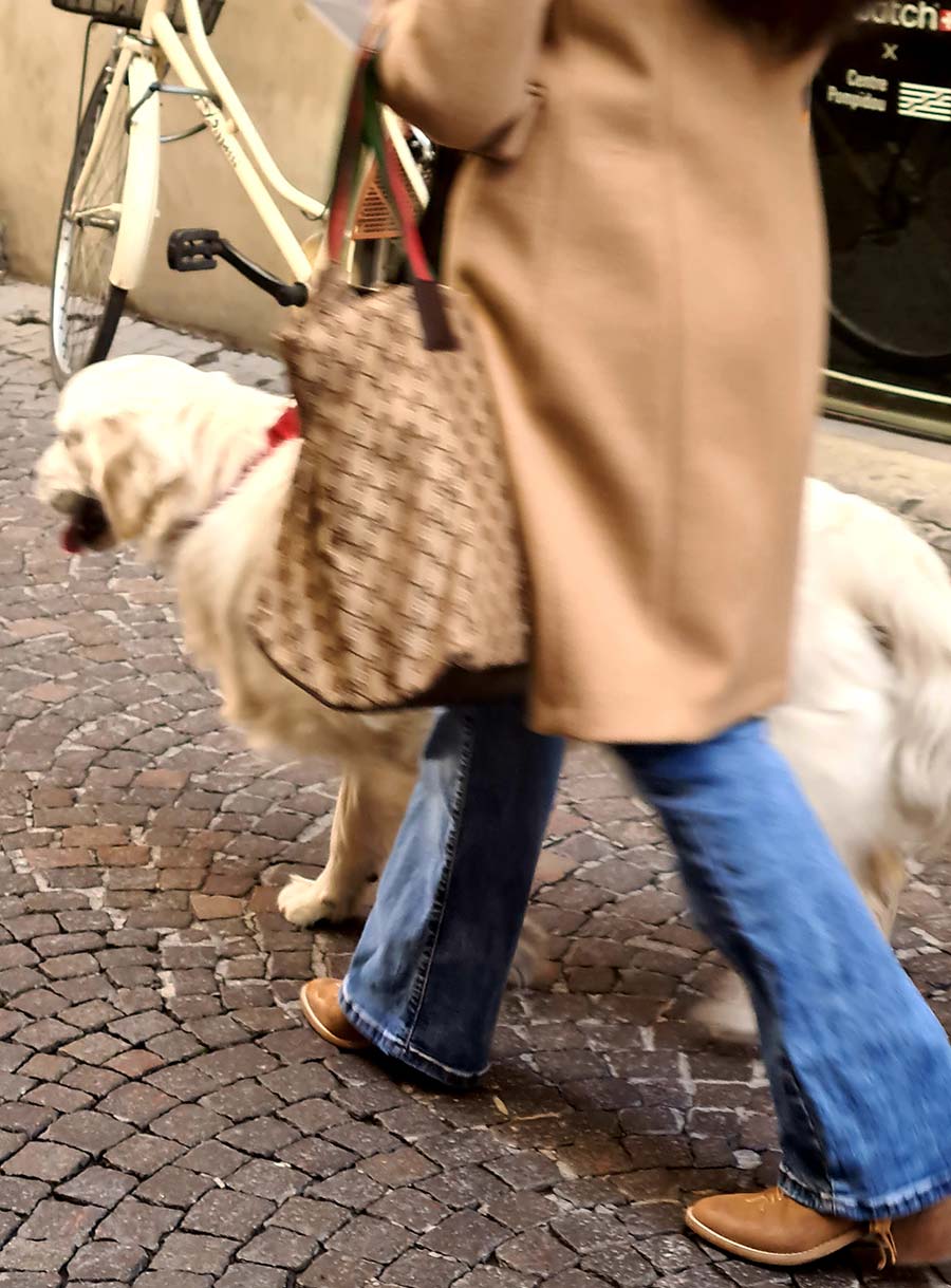 vintage gucci bag white dog beige wool coat denim flares 2022 (2)