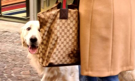 Camel Coats  – Stylish Travel Tips For Spring