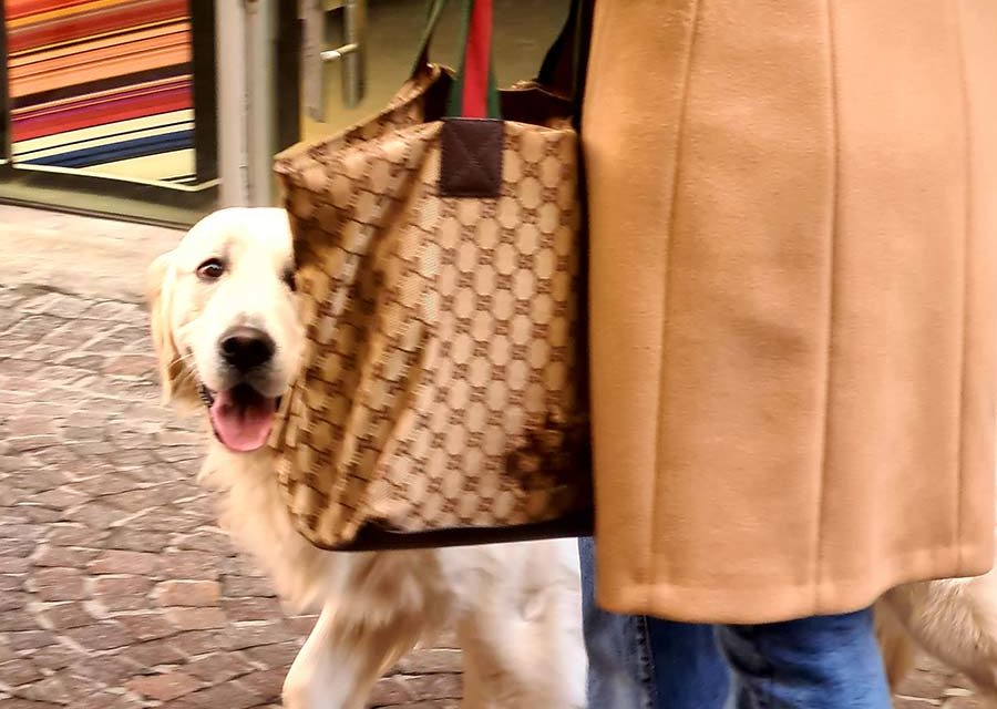 Camel Coats  – Stylish Travel Tips For Spring