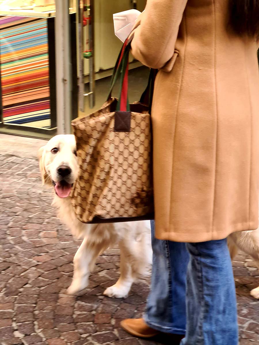 vintage gucci bag white dog beige wool coat denim flares 2022 (2)