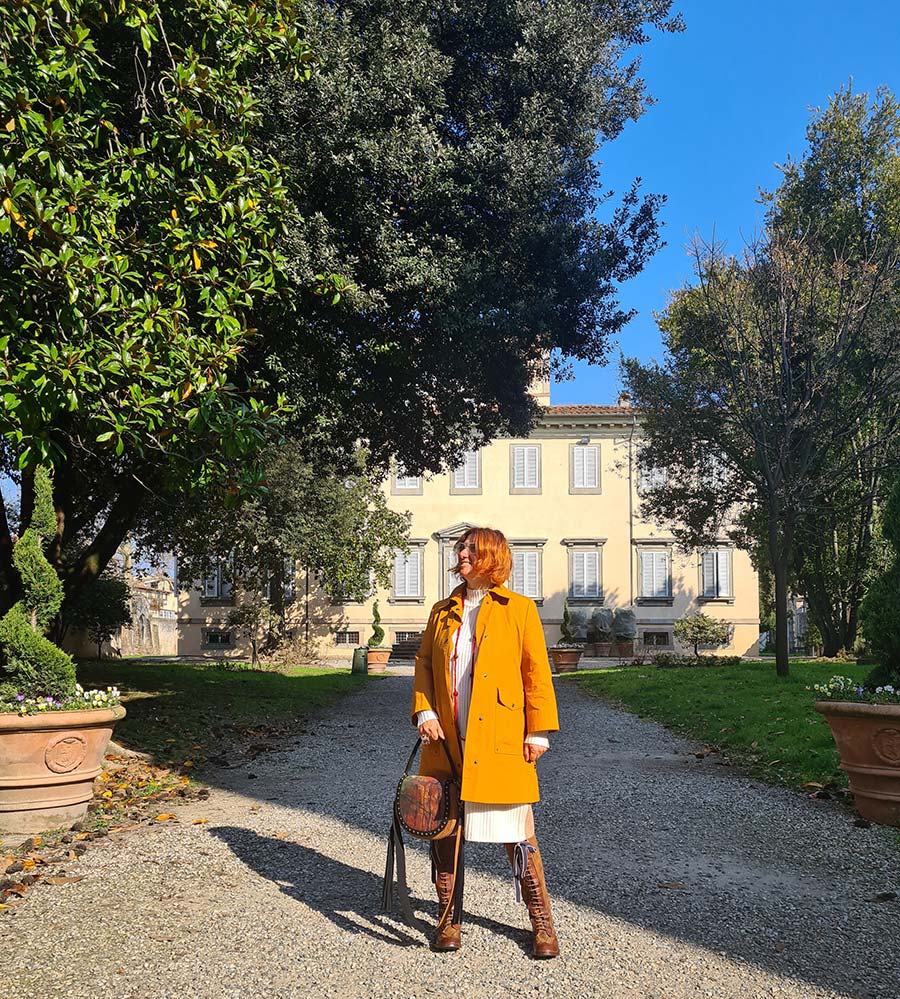 Lucca Tuscany Mustard