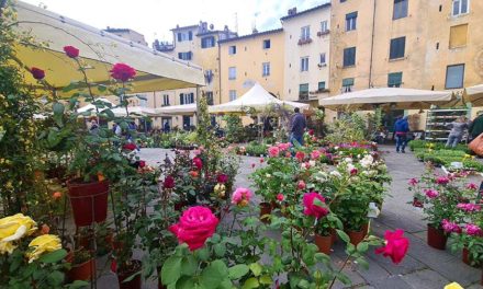 Floral Prints – Menopause Mood Lifting Style Tips