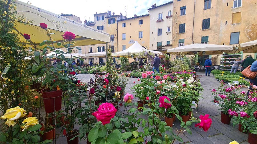 Floral Prints – Menopause Mood Lifting Style Tips