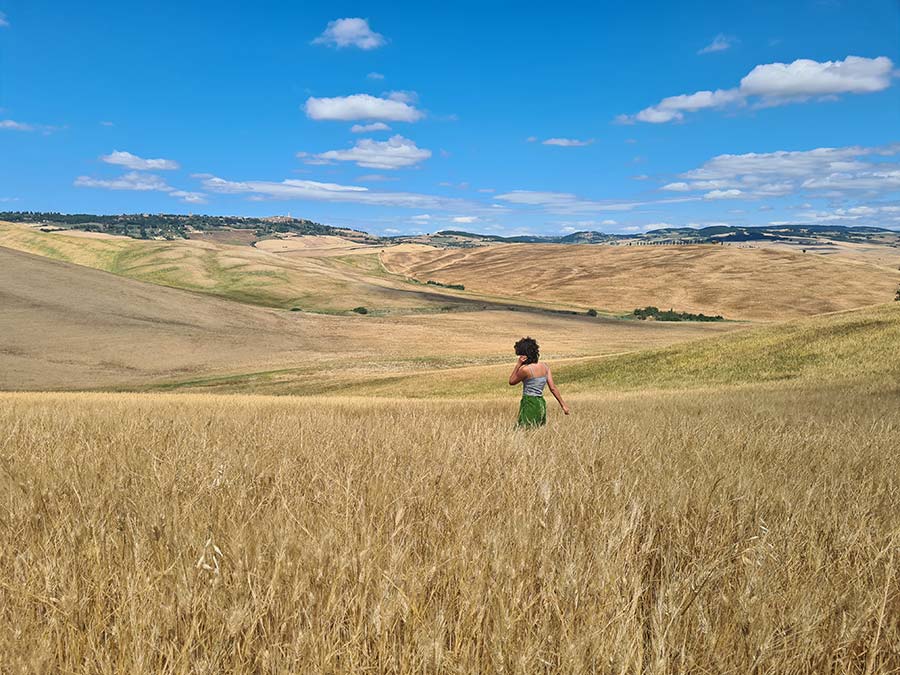 Wheat Tuscany Italy summer travel (2)