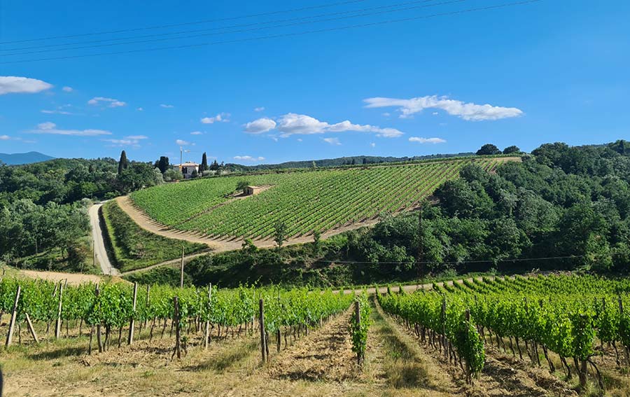 Montepulcino wine region Tuscany Italy