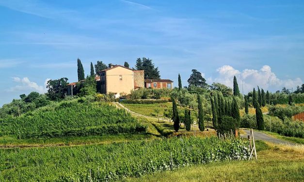 How To Choose To Be Happy During Menopause: A Journey of Opulence and Courage