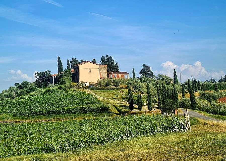 How To Choose To Be Happy During Menopause: A Journey of Opulence and Courage