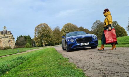 Leather Red Backpack – The Lifestyle Backpack Reviewed