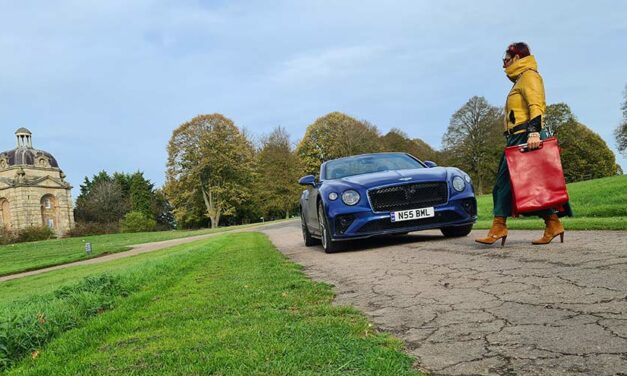 Leather Red Backpack – The Lifestyle Backpack Reviewed