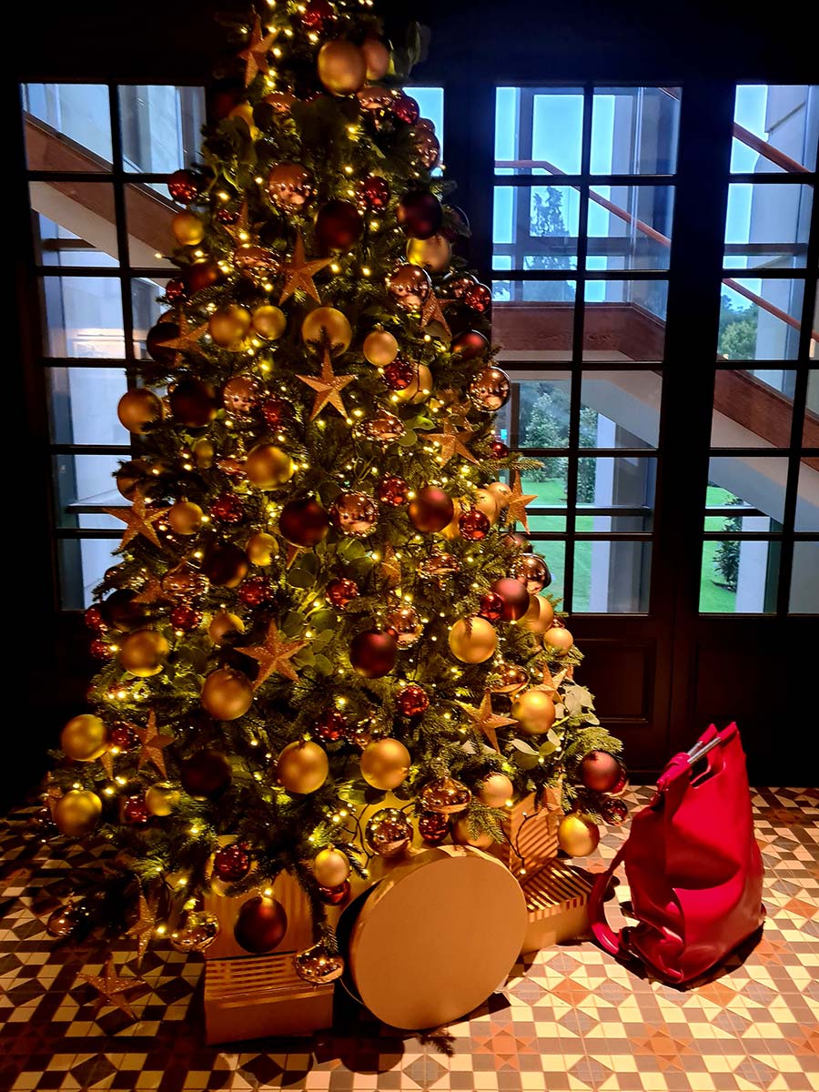 Leather Tuscan Backpack - The Lifestyle Backpack Reviewed Gracie Opulanza (9)