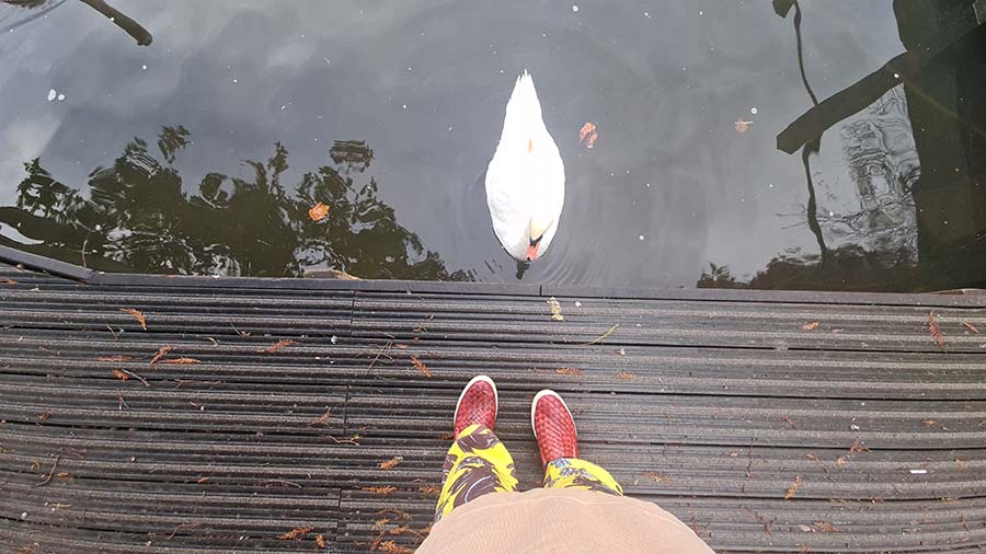 Emma Black Panther Secret of 3 London