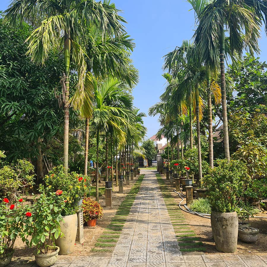 Mr Tho Garden Villa Hoi An Vietnam airbnb