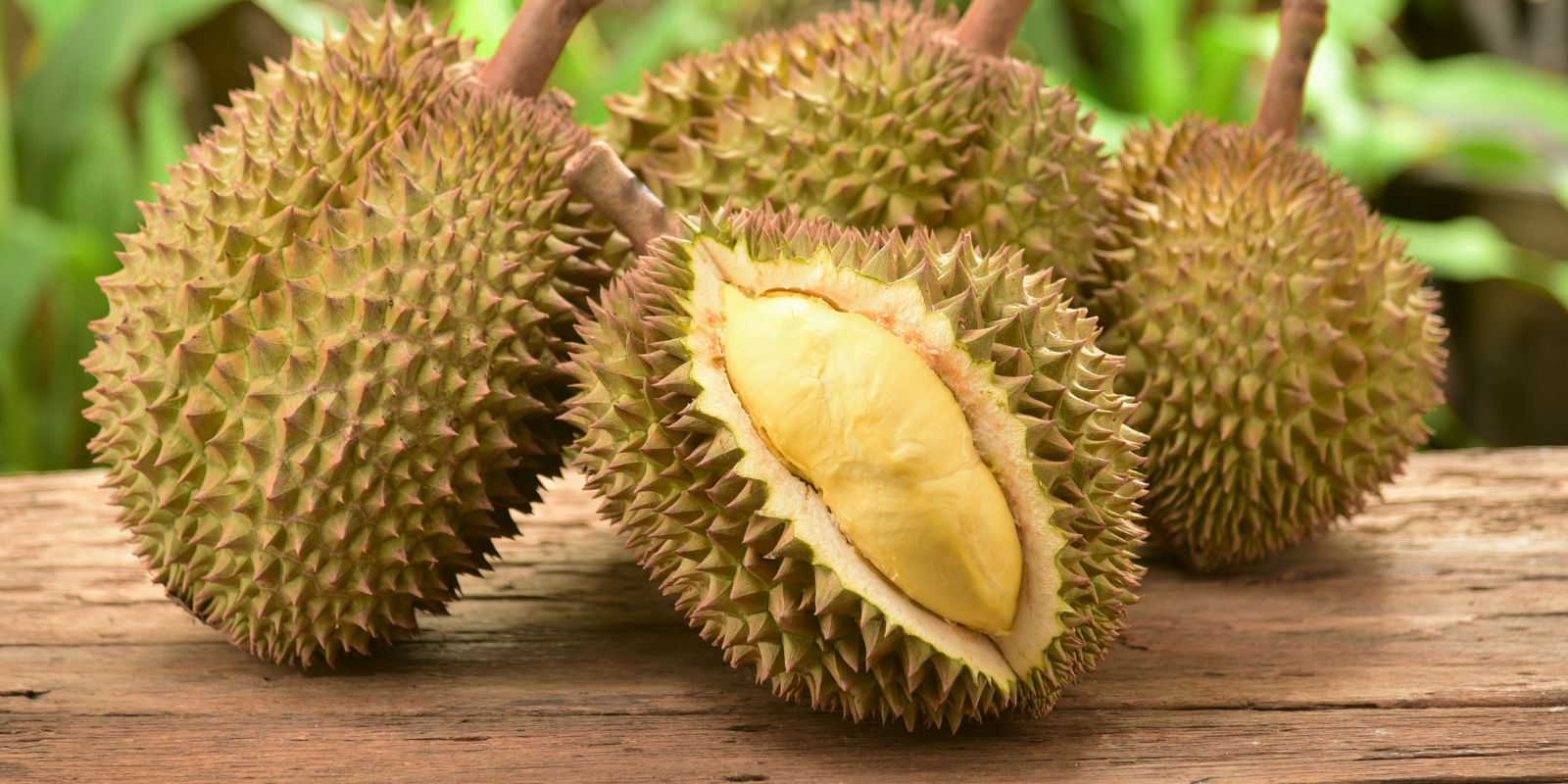 Durian fruit