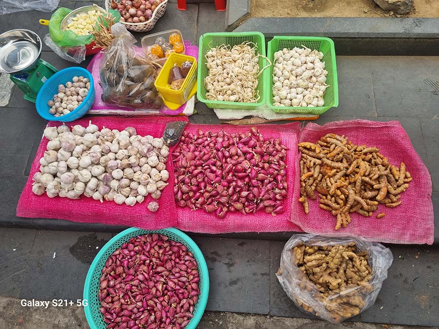 Fruit food vegies Vietnam (2)