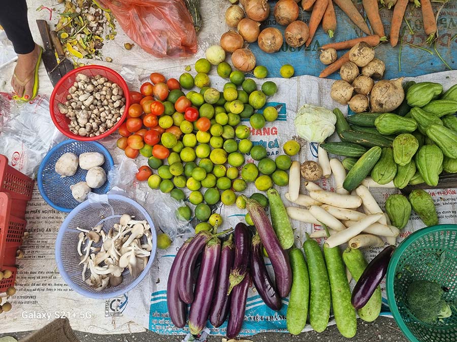 Fruit food vegies Vietnam (2)