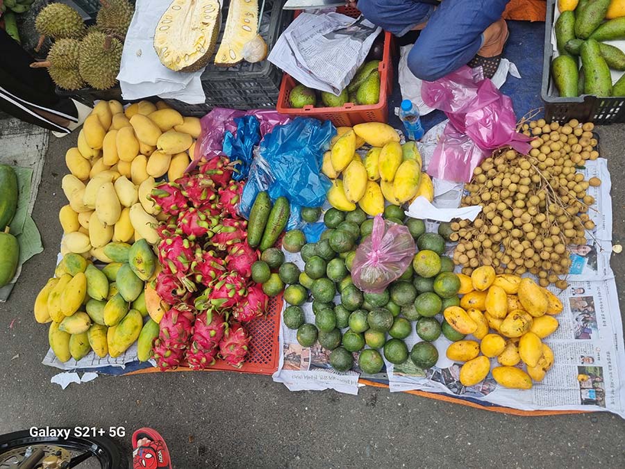 Fruit food vegies Vietnam (2)