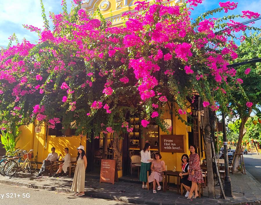 Barbie Pink - How To Wear Pink With Style gracie opulanza Hoi An Vietnam 2023 (3)