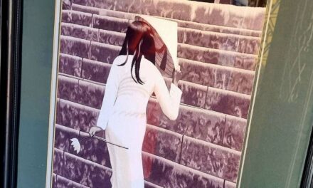 Vietnamese Silk – How Is Silk Made In Vietnam?