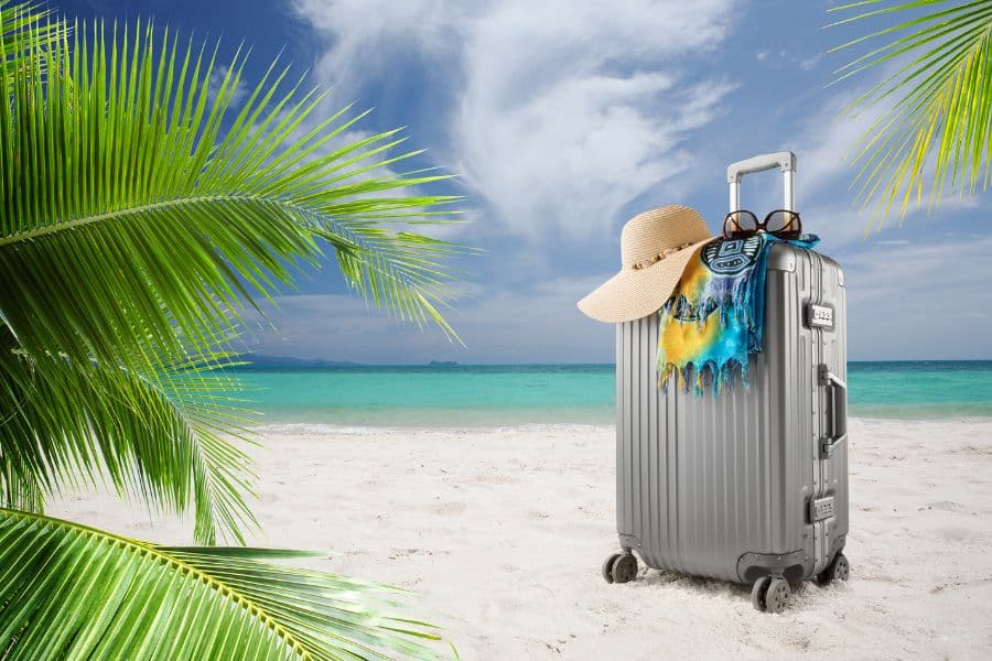 summer hand luggage travel