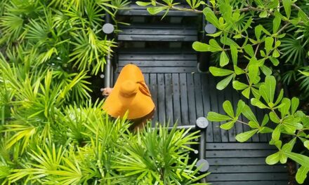 Four Seasons Resort Koh Samui – What To Wear At A Luxury Resort Style Tips