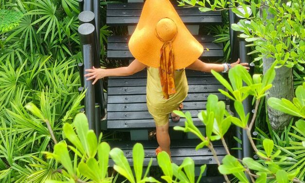 Digital Nomad Isn’t Money – It’s Emotional Stability, Gut Health and Loyal People