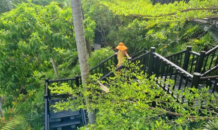 Elevating Your Living Experience – The Charm Of Scenic Neighborhoods