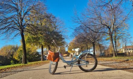 Is Self-Storage Worth The Cost? A Journey of Opulence, Storage, and Soul-Searching