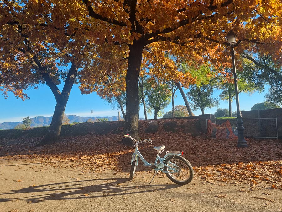 Tiffany-bike-Gracie-Opulanza-Lucca