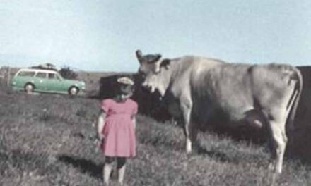 Self Worth – God’s Perspective In You Is What’s Count