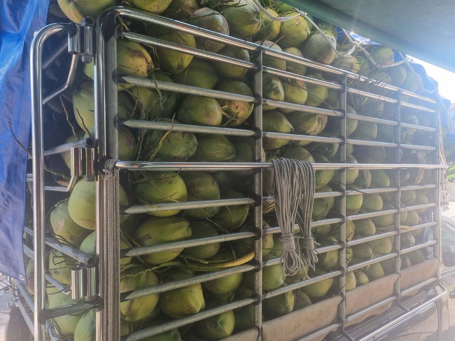 Coconut-juice-menopause