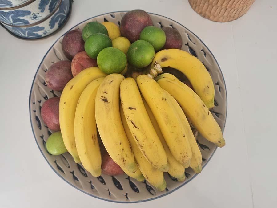 fish-greek-fruit-bowls