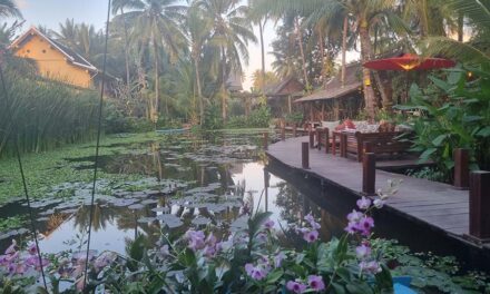 Don’t Divorce During Menopause: A Luxurious Perspective on Weathering the Hormonal Storm