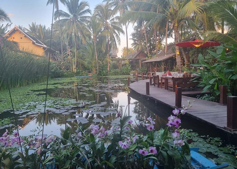 Don’t Divorce During Menopause: A Luxurious Perspective on Weathering the Hormonal Storm