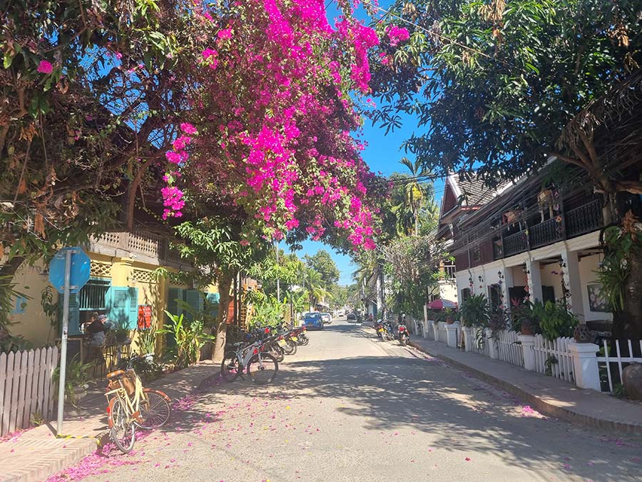 Luang Prabang city 2024 streets Laos Asia Gracie Opulanza (2)