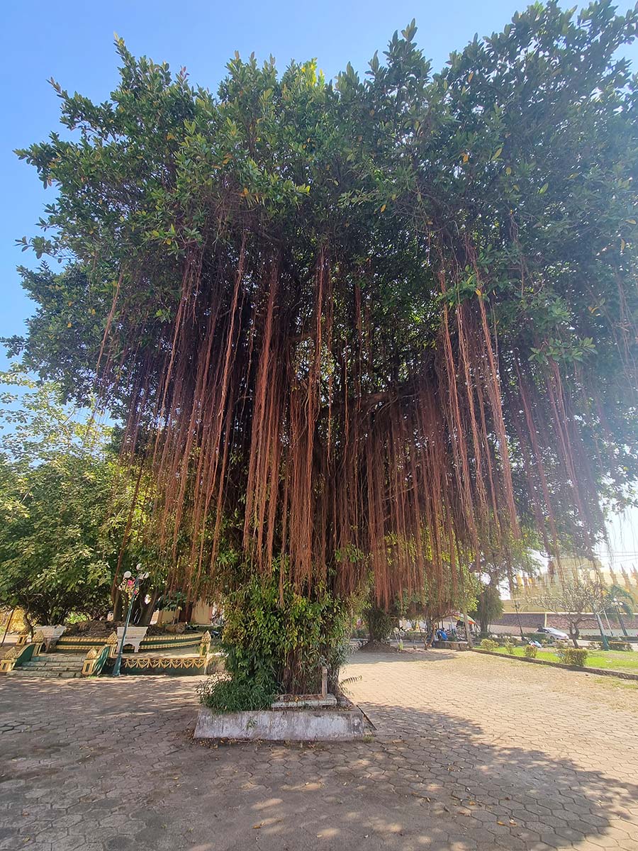 Vientiane,Laos Temples 2024 Asia Gracie Opulanza (12)