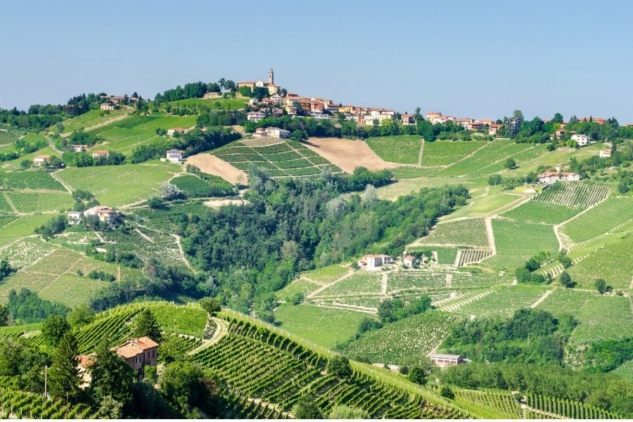 Piedmont wine tours - Asti