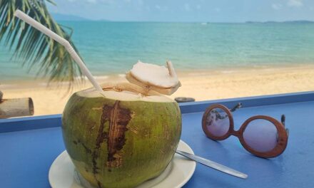 Thailand’s Coconut Crisis – A Lavish Lover’s Lament