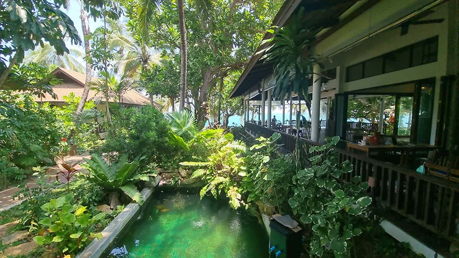 Koh Samui Thailand - Why Is Maenam Bay Beach Resort Amazing (1)